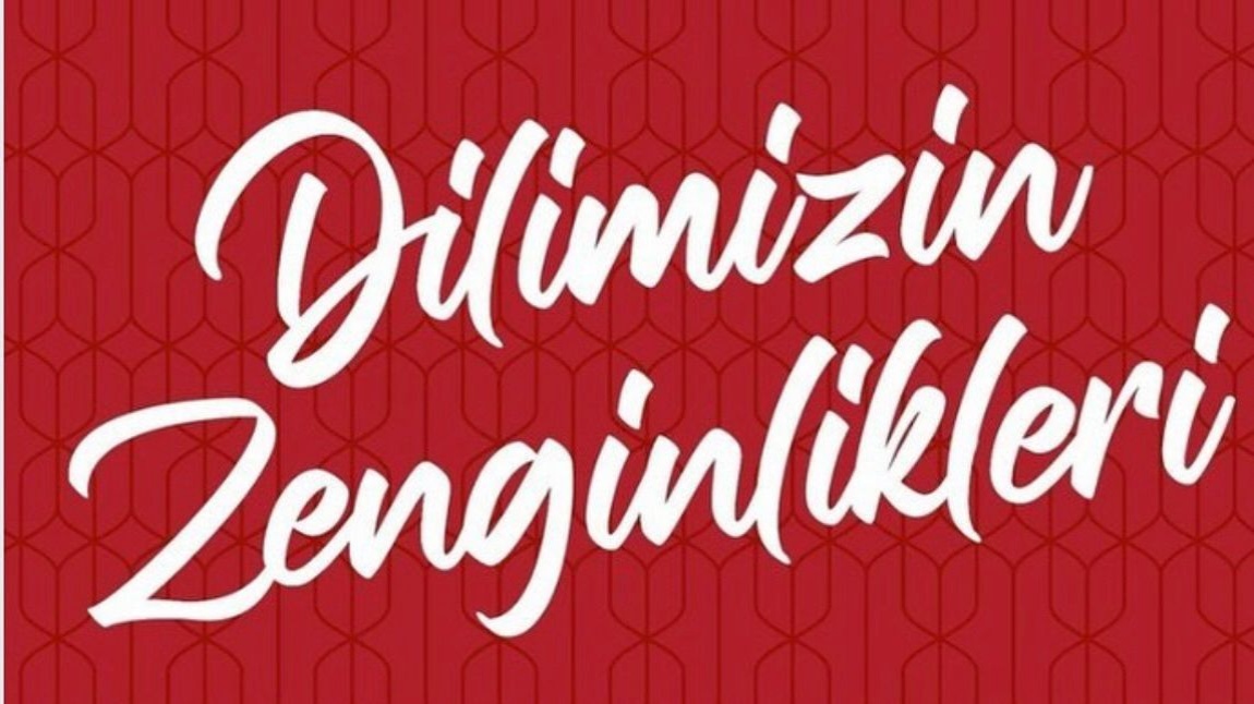 DİLİMİZİN ZENGİNLİKLERİ PROJESİ